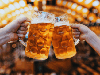 Zwischen Rausch und Tradition: So feiern Millionen auf der Wiesn 2025 Zwischen Rausch und Tradition: So feiern Millionen auf der Wiesn 2025