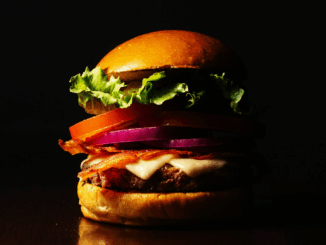 EU-Parlament verbietet Veggie-Burger: Wenn der Sojafladen zum „Pflanzenpressling“ EU-Parlament verbietet Veggie-Burger: Wenn der Sojafladen zum „Pflanzenpressling“
