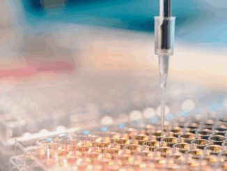 FAU-Forschung: Warum Killerzellen nur manchmal aktiv werden