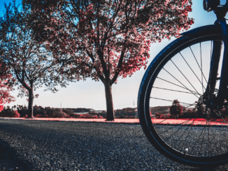 Rechte beim Fahrradkauf im Netz: Wann zahlt der Händler, wann der Käufer?