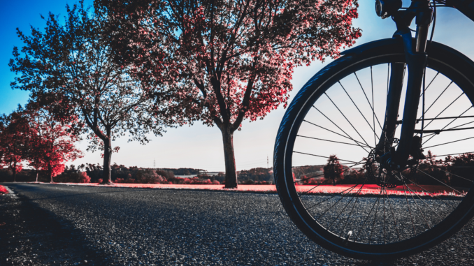 Rechte beim Fahrradkauf im Netz: Wann zahlt der Händler, wann der Käufer?
