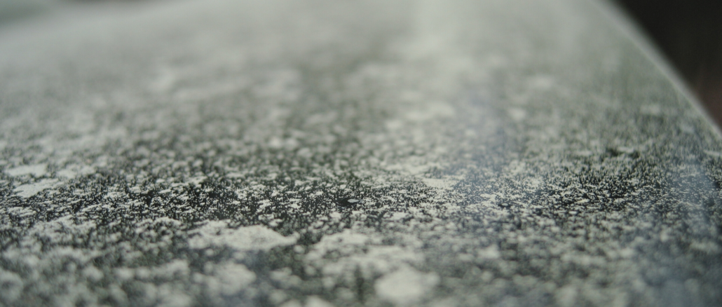 Pollen im Auto: Was Allergiker jetzt beim Fahren beachten sollten