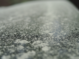 Pollen im Auto: Was Allergiker jetzt beim Fahren beachten sollten
