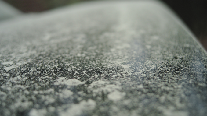 Pollen im Auto: Was Allergiker jetzt beim Fahren beachten sollten
