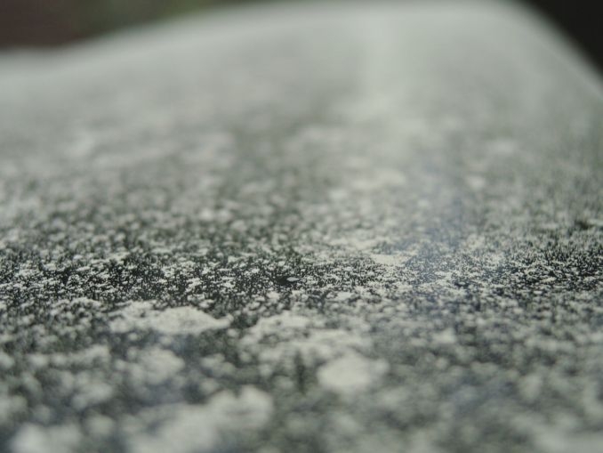 Pollen im Auto: Was Allergiker jetzt beim Fahren beachten sollten