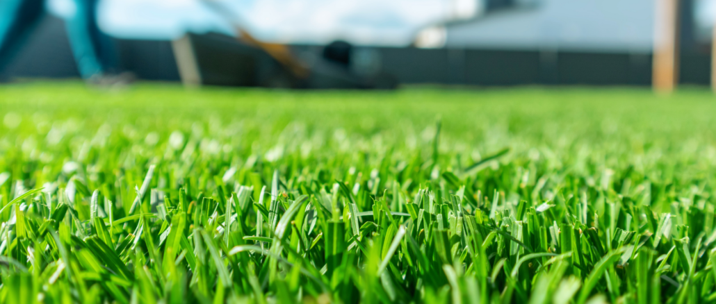 Rasenpflege nach Ostern: Experten erklären, was jetzt hilft – und was schadet