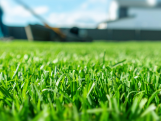 Rasenpflege nach Ostern: Experten erklären, was jetzt hilft – und was schadet